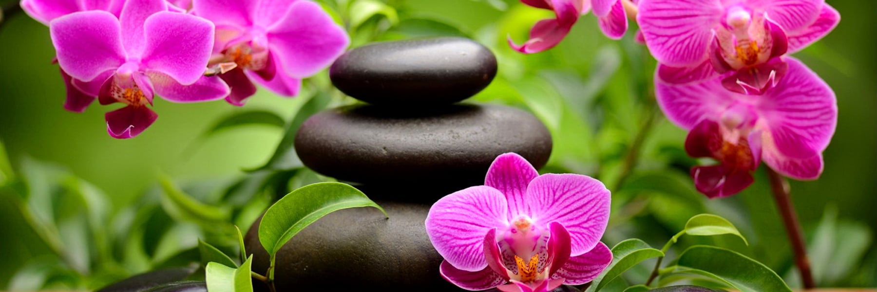 Inner Light Wellness Acupuncture Chester County, PA